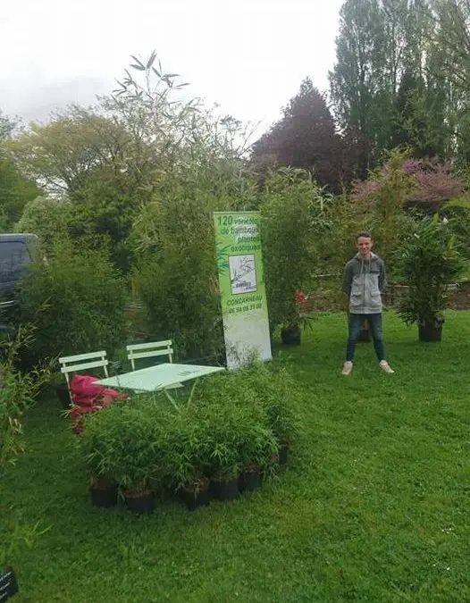 Aujourd’hui fête des plantes à kerbernez (plomelin…