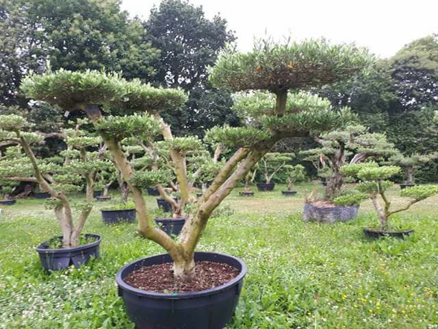 Message à tous les jardiniers…Propriétaire de la…