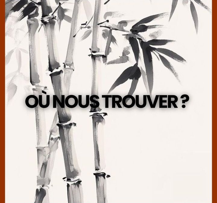 🌿 Découvrez l’univers des Bambous de Kerlilas !