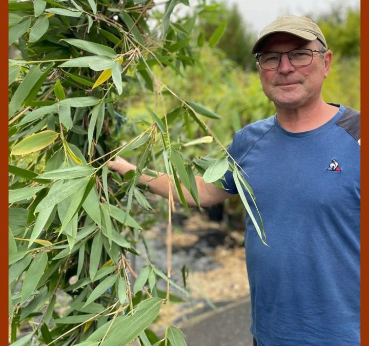 🌿 L’expert derrière les Bambous de Kerlilas 🌿

🧑‍🌾 Stéphane Cotonnec est l’homme passionné derrière les…