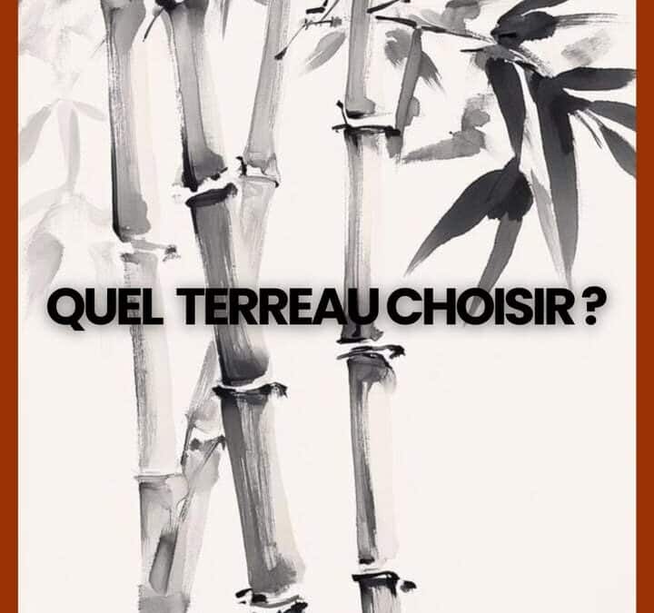 🌱🪴 Une belle pousse commence par un bon terreau…