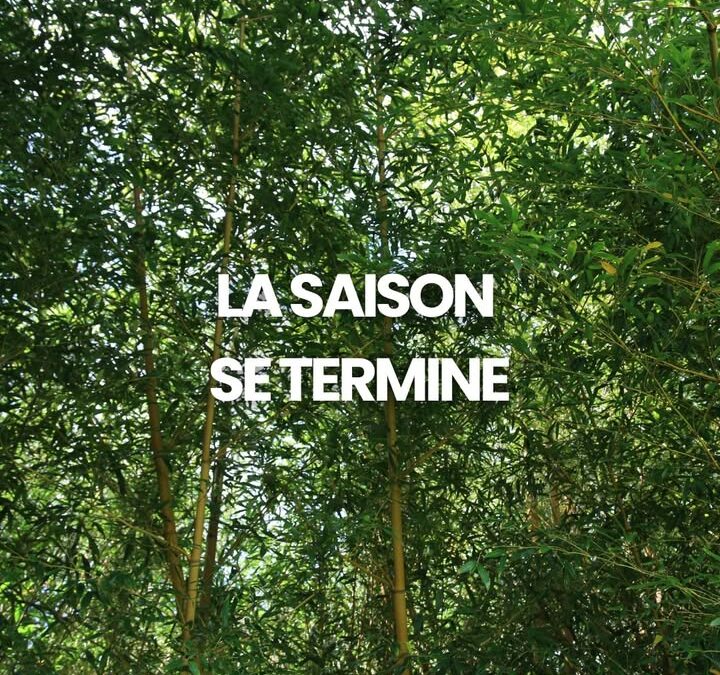 🌿📅 Fin de saison à la pépinière…