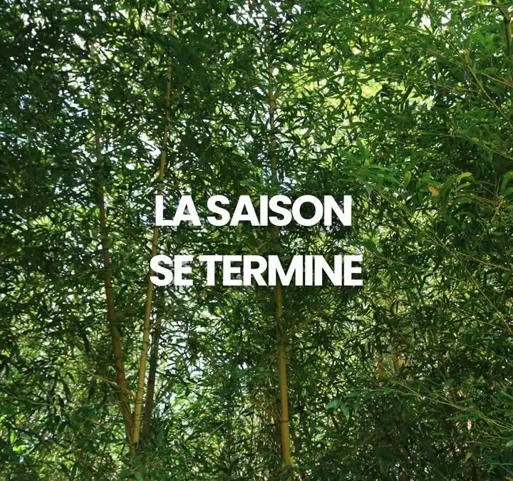 🌿📅 Fin de saison à la pépinière…
