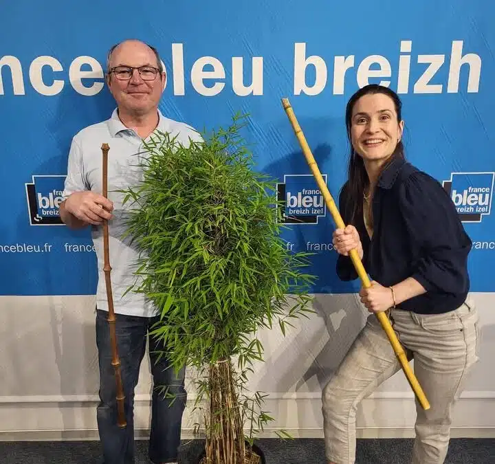 🎋Les Bambous de Kerlilas à la TV et à la…
